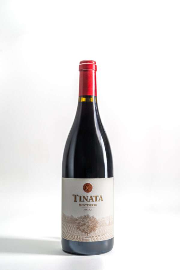 Tinata 2014